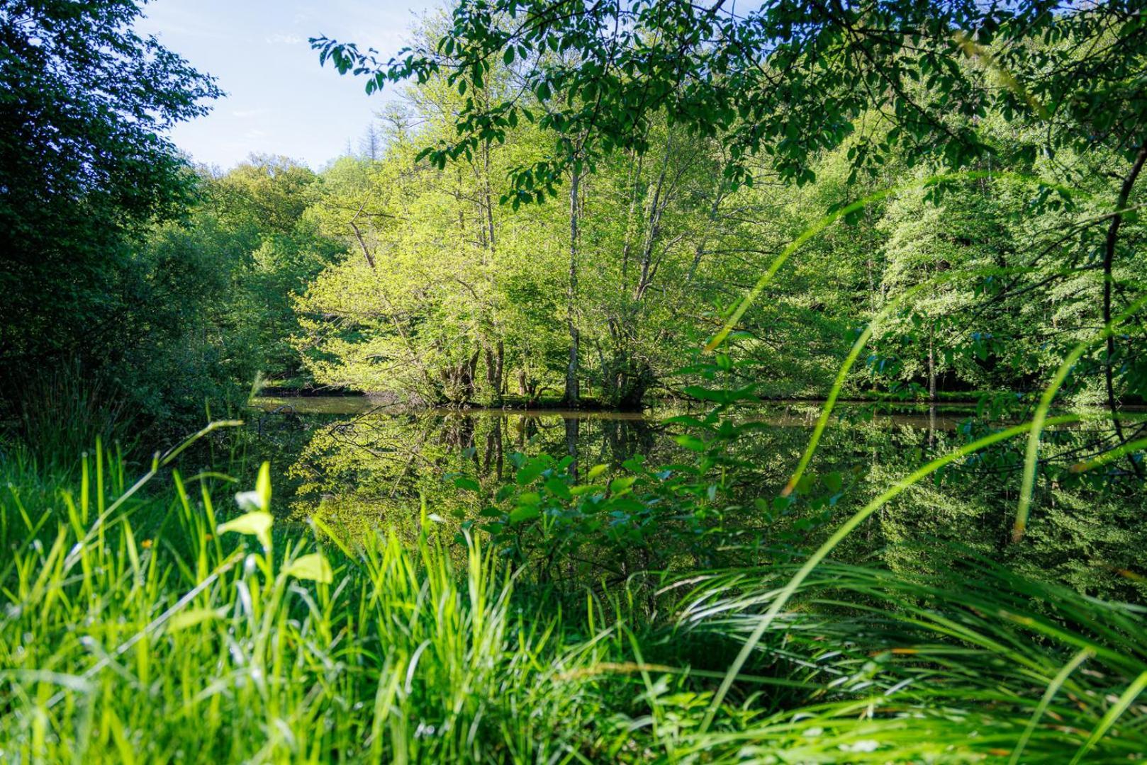 Moulin De Retord, Cote Etang - Chambres D'Hotes Perassay Екстериор снимка