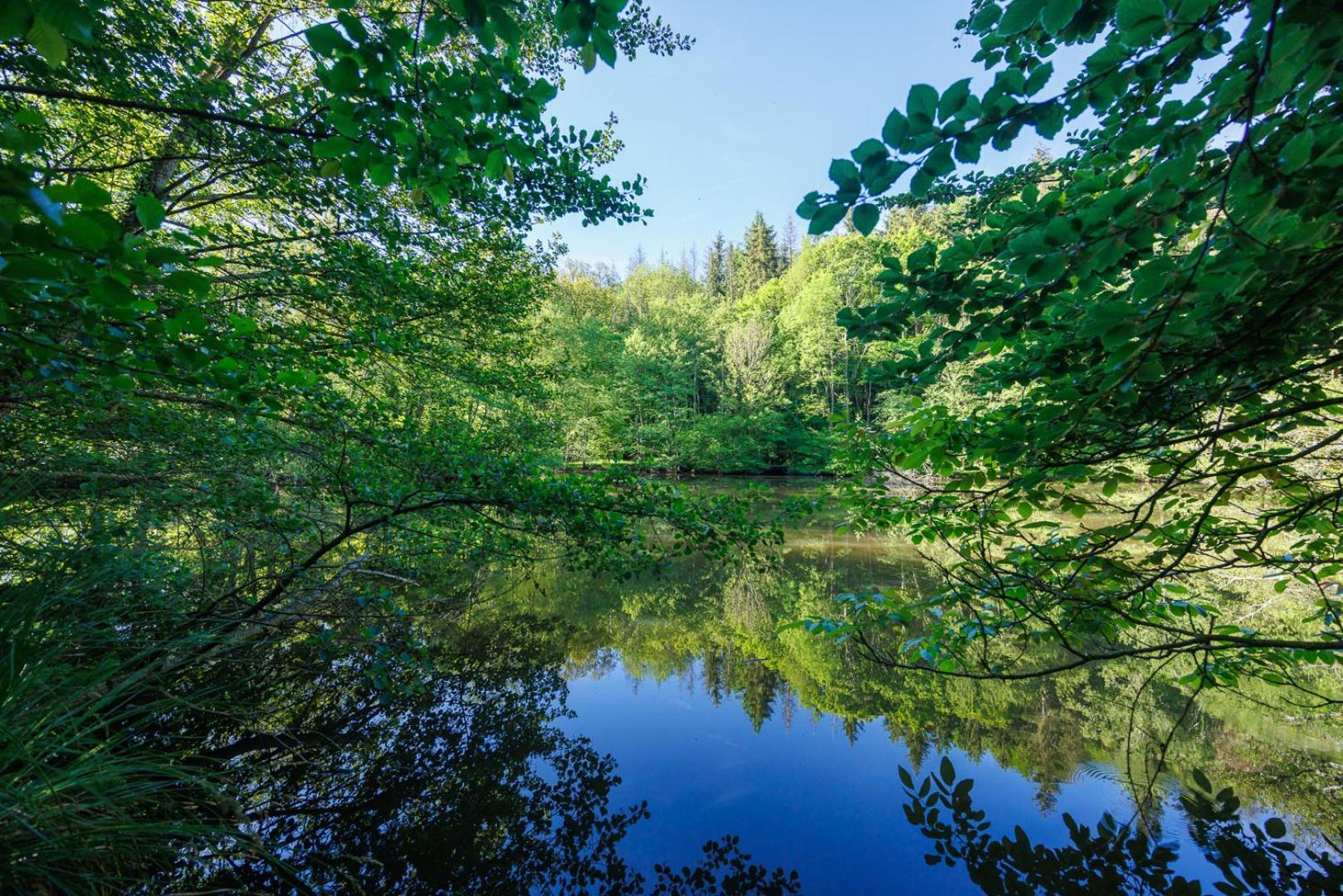 Moulin De Retord, Cote Etang - Chambres D'Hotes Perassay Екстериор снимка