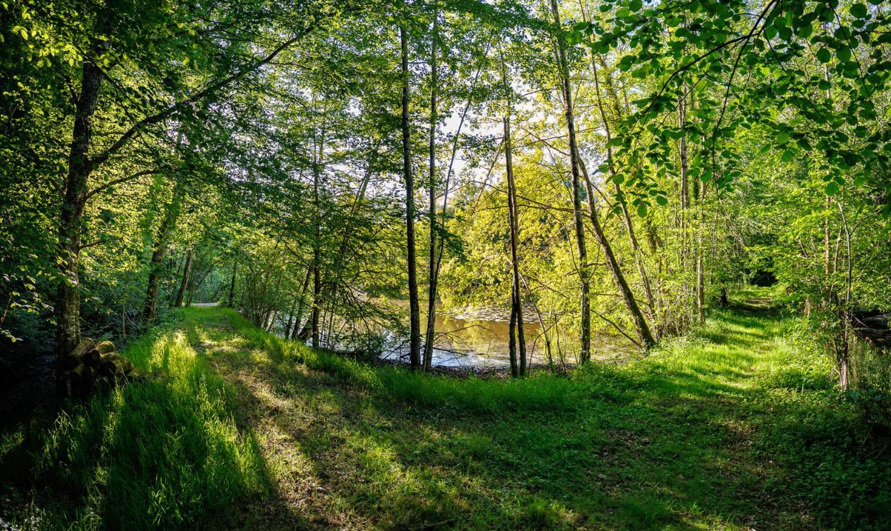 Moulin De Retord, Cote Etang - Chambres D'Hotes Perassay Екстериор снимка